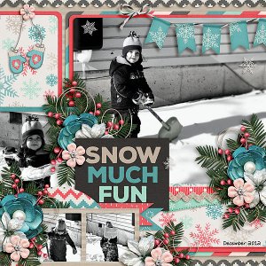 Snow Fun