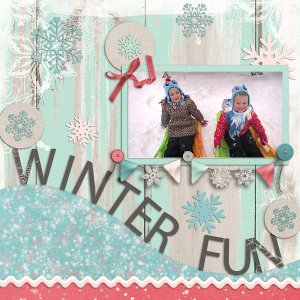 Winter Fun