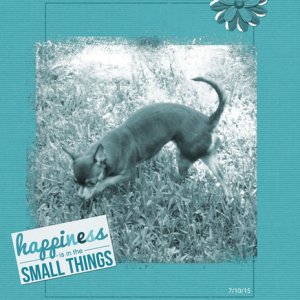 Happiness is in the Small Things