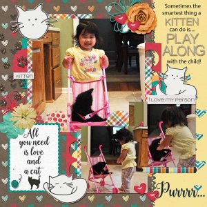 Stepping-Stones-2-with-Must-Love-Cats
