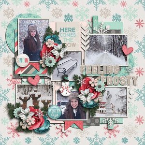 Winter memories