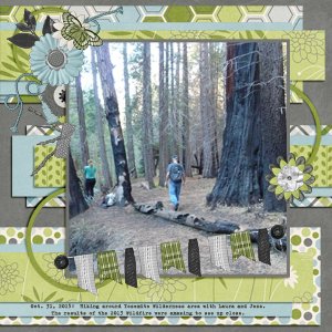 Y_Wilderness Hike