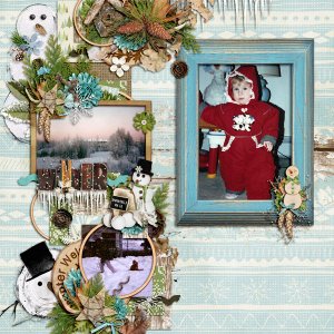Woodland Winter
