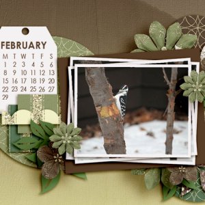 January_20161