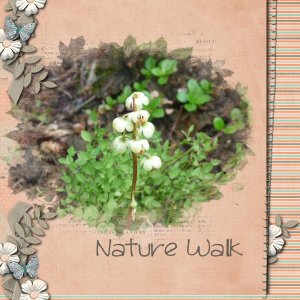 Nature Walk