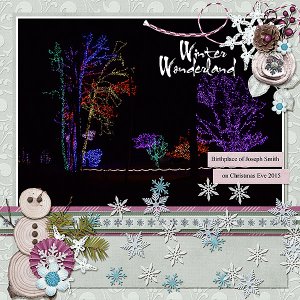 Winter Wonderland - Lights