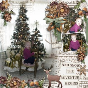 Winter Woodland #1