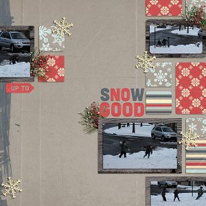 Snow Fights