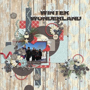 Winter Wonderland
