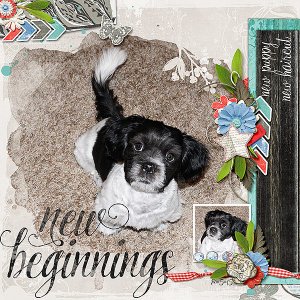 New Beginnings