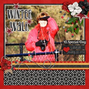 Winter walk