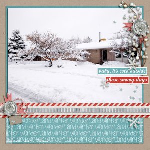 December Snow