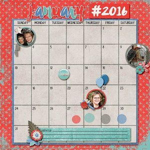 January Calendar 2016