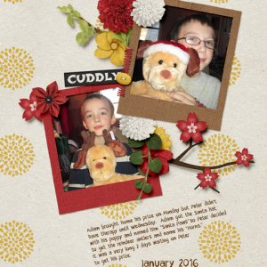 Therapy Dogs