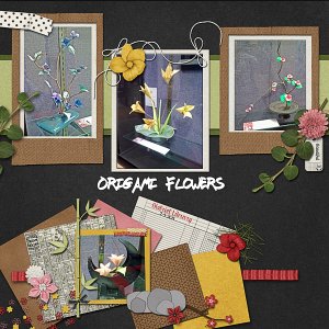 Origami Flowers