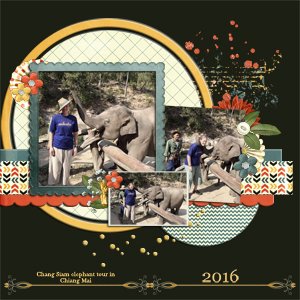 Elephant tour