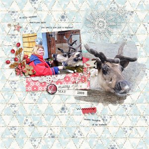 silly reindeer