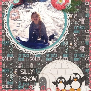 Silly Sleds