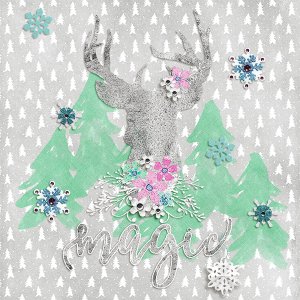 winter magic