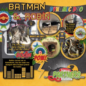 Batman + Robin