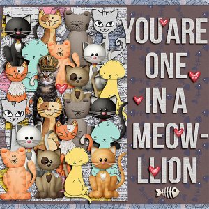 one in a meow