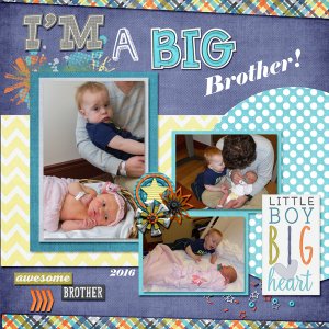 I'm a Big Brother