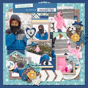 2014-12-31-snowmeanssnowballfight_sm