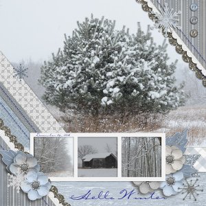 Winter Scenes