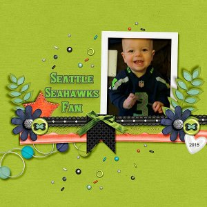 Seahawks Fan