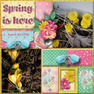 Spring_is_here3