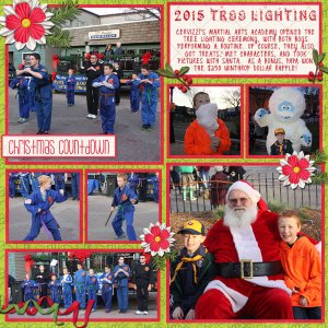 2015 Tree Lighting