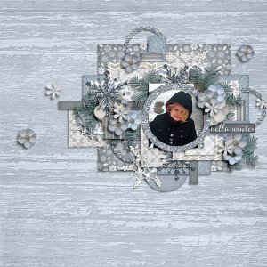 web-Tinci_WS1_2