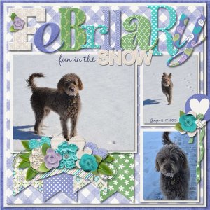 February Fun in the Snow