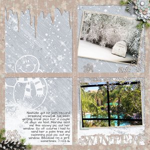 Winter window