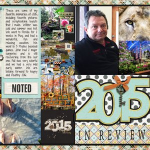 2015 In Review