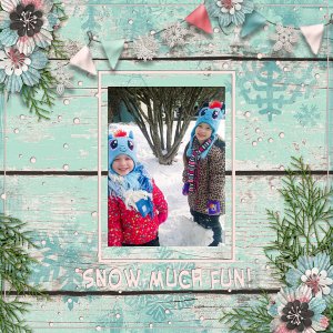 Snow Much Fun