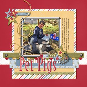 Pet Pigs