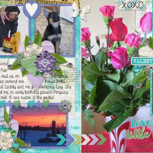 My February {2015}