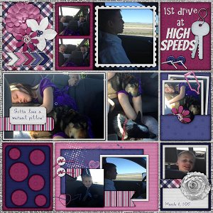 High_Speed_Driving