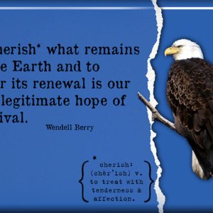 cherish