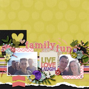 Family Fun