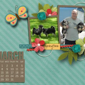 Feb Desktop