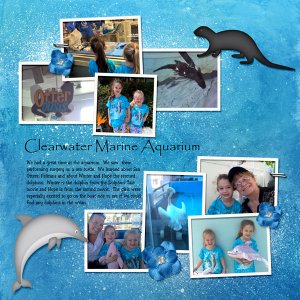 Clearwater Marine Aquarium