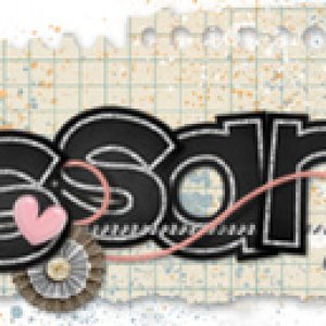 Feb Signature