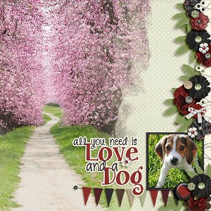 Love and a Dog
