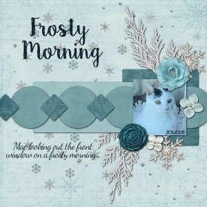 A Frosty Morning