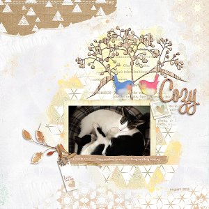snug as a bug