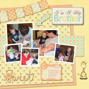I'm a Big Brother