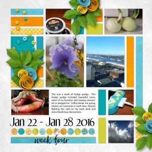 Week 4 2016