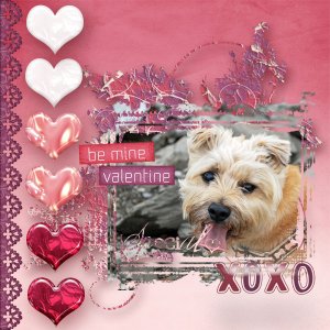 My Bunny Valentine